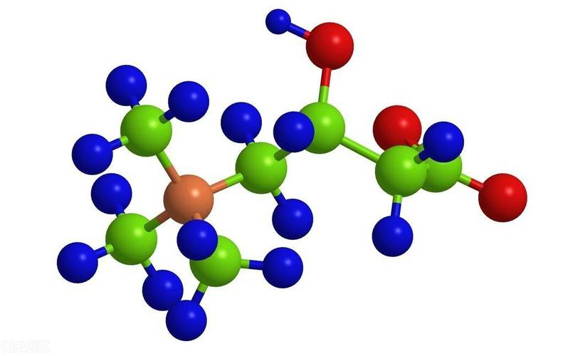 bulk l carnitine powder